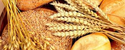 Минсельхоз РФ сообщил о снижении цен на зерновые культуры и хлеб