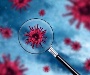 Вирусологи выявили «неуловимый штамм» коронавируса