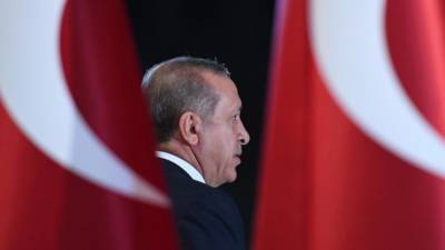 Эрдоган назвал роскошным ответ Путина президенту США
