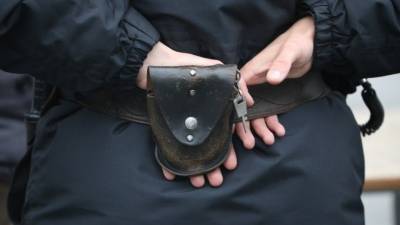 Полиция задержала подозреваемых по делу о крупном хищении в ПАО «Россети»