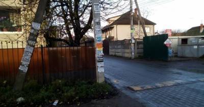 "Живу как на свалке": в СНТ под Калининградом поставили мусорку в двух шагах от дома пенсионерки