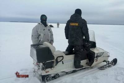 Выловленного браконьерами судака в Тверской области росгвардейцы вернули обратно в озеро