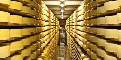 В порту Петербурга 38 тонн швейцарского сыра вернули назад на родину