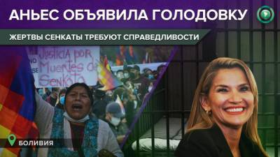 Экс-президент Аньес объявила голодовку на фоне непрекращающихся митингов в Боливии