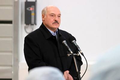 Лукашенко призвал белорусов потерпеть и пообещал других президентов