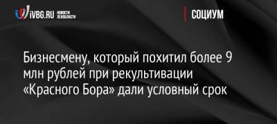 Бизнесмену, который похитил более 9 млн рублей при рекультивации «Красного Бора» дали условный срок