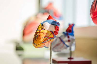 Медики назвали необычный предвестник сердечного приступа