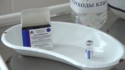 Власти рассказали, когда в Воронежскую область приедет вакцина от ковида