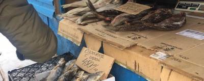 Более 120 кг речной рыбы уничтожат в Казани после рейда по точкам несанкционированной торговли