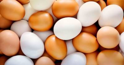 НАБУ обвинили в падении производства яиц в Украине на 16%