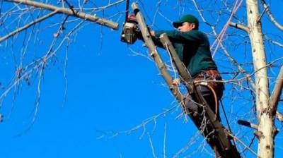 В Заречном на пять дней перекроют движение по улице Братской