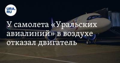 У самолета «Уральских авиалиний» в воздухе отказал двигатель