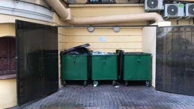Эколог рассказал, какой мусор опасно выбрасывать в контейнер рядом с домом