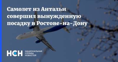 Самолет из Антальи совершил вынужденную посадку в Ростове-на-Дону