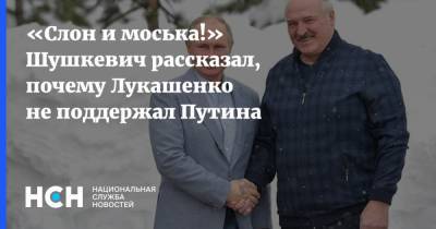 «Слон и моська!» Шушкевич рассказал, почему Лукашенко не поддержал Путина