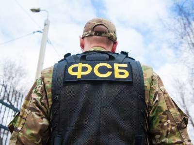 ФСБ сообщила о задержании 14 сторонников "украинских неонацистов". В StopFake опровергли их причастность к Украине