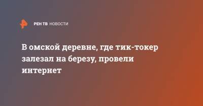 В омской деревне, где тик-токер залезал на березу, провели интернет - ren.tv - Омская обл.
