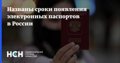Названы сроки появления электронных паспортов в России