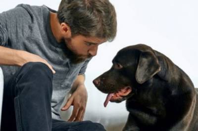 В России мужчина изменял супруге с собакой