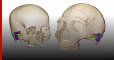 Ученые выявили главную способность неандертальцев в сравнении с человеком