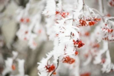 В Волгоградскую область придут снегопады и метель