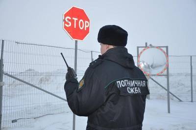 В Смоленской области за сутки задержали более 220 нарушителей режима госграницы