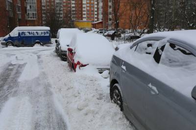 Снежная и морозная зима незначительно повлияла на число страховых случаев в Петербурге
