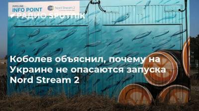 Коболев объяснил, почему на Украине не опасаются запуска Nord Stream 2