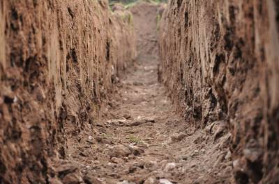 Агроном: В Украине отсутствует контроль за состоянием почв