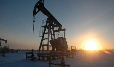 Россия сократила добычу нефти на 11,9%
