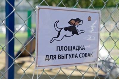 Жители Железноводска определяют места выгула собак