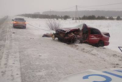 Утром 2 марта в Удмуртии погиб водитель, столкнувшийся с КамАЗом
