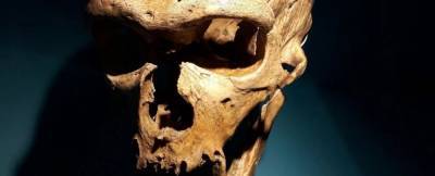 Неандертальцы могли говорить как люди