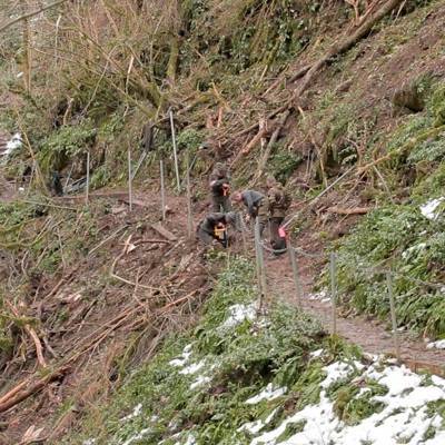 В Сочи специалисты расчищают тропы в Тисо-самшитовой роще
