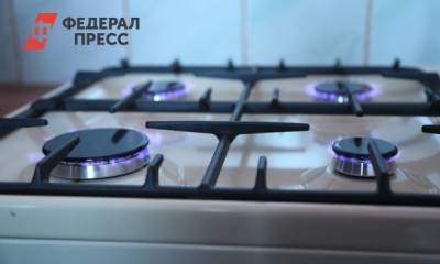 Власти Красноярского края назвали сроки газификации региона