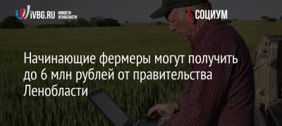Начинающие фермеры могут получить до 6 млн рублей от правительства Ленобласти