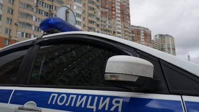 Нетрезвая москвичка избила пытавшегося составить на нее протокол полицейского