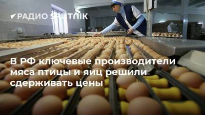 В РФ ключевые производители мяса птицы и яиц решили сдерживать цены
