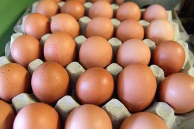 Минсельхоз предложил дополнительные меры поддержки производителям мяса птицы и яиц