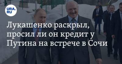 Лукашенко раскрыл, просил ли он кредит у Путина на встрече в Сочи
