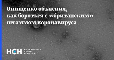 Онищенко объяснил, как бороться с «британским» штаммом коронавируса