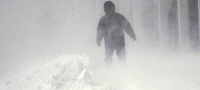 На Соловках сборщик ламинарий побежал за водкой и насмерть замерз в лесу