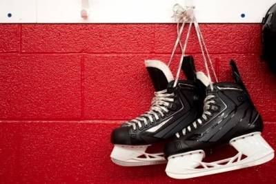 Директора детского хоккейного клуба в Петербурге арестовали за растрату