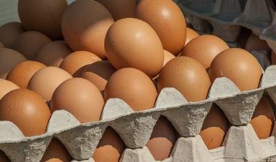 Производители пообещали сдержать цены на мясо птицы и яйца