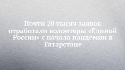 Почти 20 тысяч заявок отработали волонтеры «Единой России» с начала пандемии в Татарстане