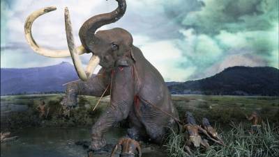 Археологи: вымирание крупных животных увеличило мозг человека вдвое