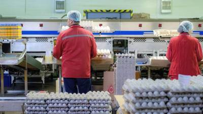 В России будут сдерживать цены на яйца и мясо птицы