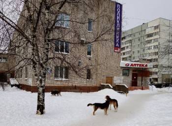 Жителей Вологодской области волнуют вопросы ЖКХ, дорог и ковида