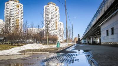 Яндекс.Погода выяснила, когда в российские города придет весна