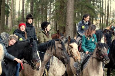 Волонтеров Ленобласти бесплатно обучат конному делу
